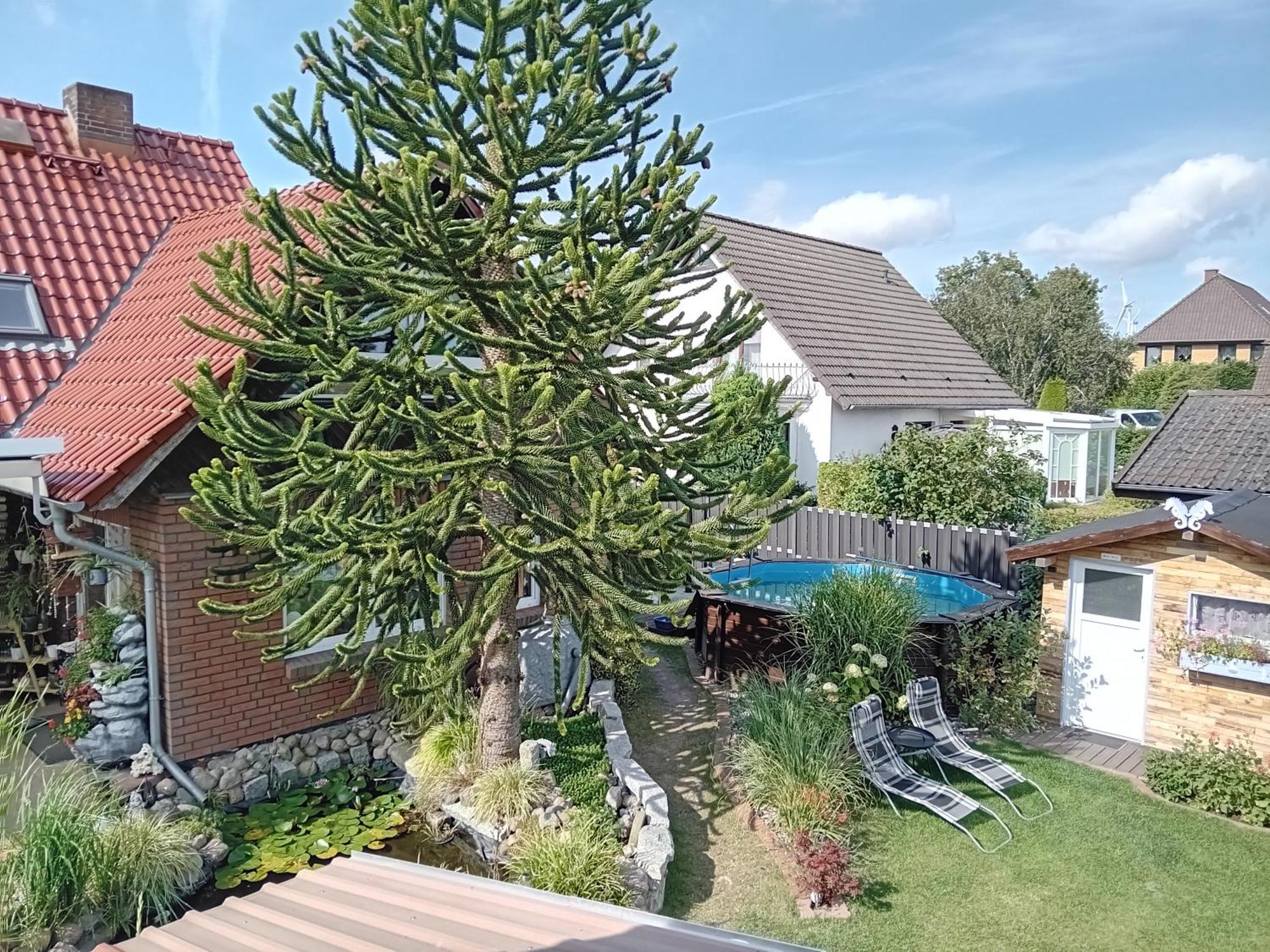 Auszeit-Schoenenwalde Papenhagen Exterior foto